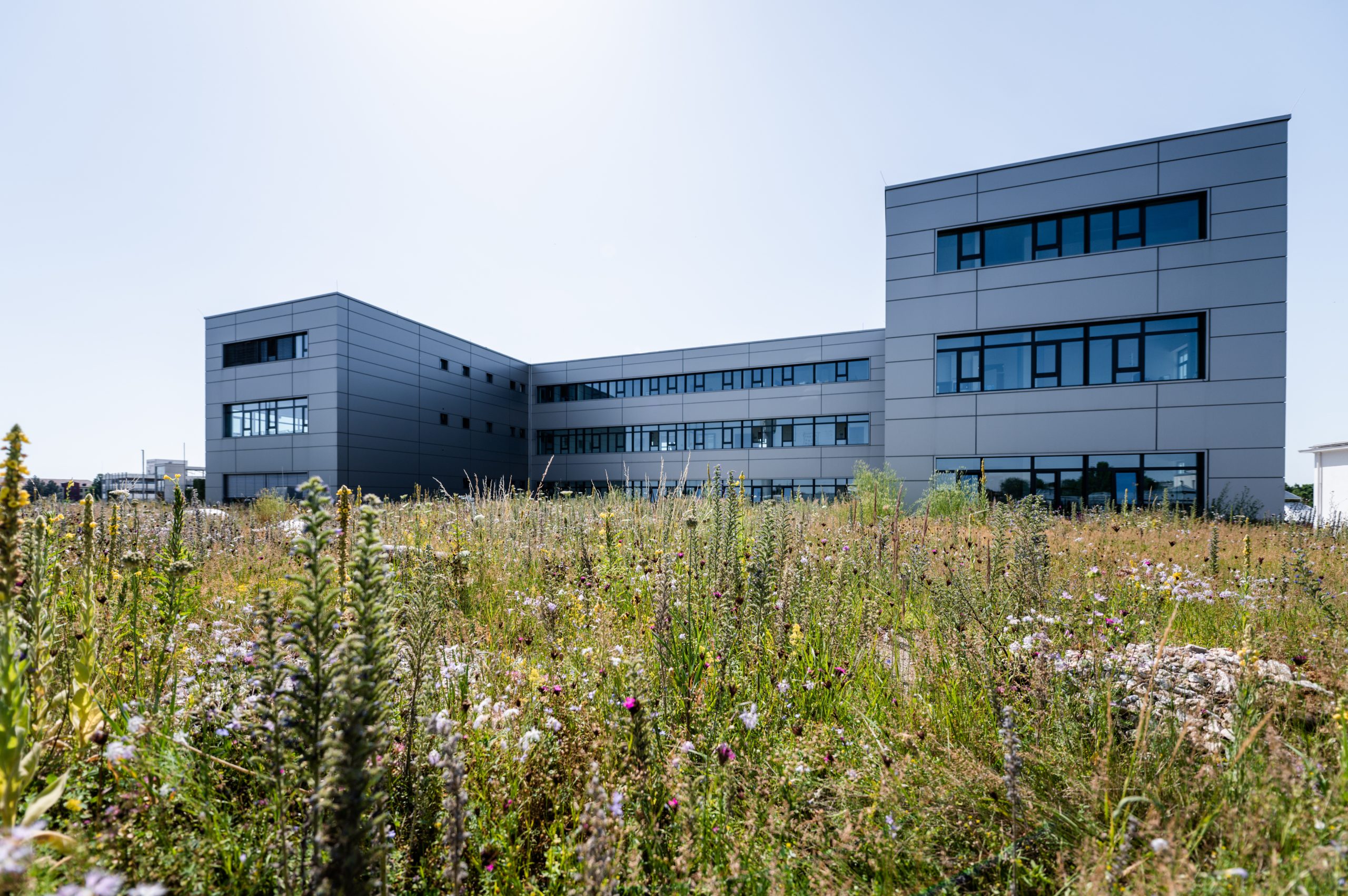 TONI Park, Augsburg, Mietflächen, Bürogebäude, High-Tech, IT-Unternehmen, Grünanlagen, Serviceleistungen